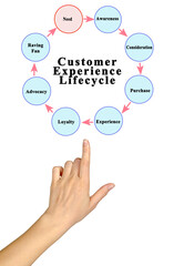 Components of  Customer Experience Lifecycle