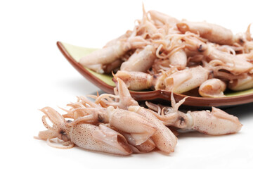 Small Freshly Steamed Squids On White background