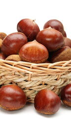 Obraz premium Sweet chestnut on white background