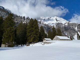 Indigenous alpine huts and wooden cattle stables on Swiss pastures covered with fresh white snow cover, Unterwasser - Obertoggenburg, Switzerland (Schweiz)