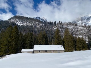 Indigenous alpine huts and wooden cattle stables on Swiss pastures covered with fresh white snow cover, Unterwasser - Obertoggenburg, Switzerland (Schweiz)