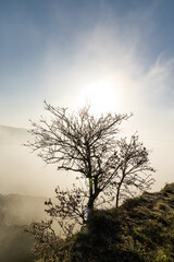 clay ravines, covered in fog, called the barrancas del burujon in Toledo