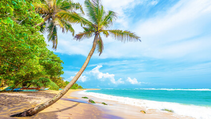 A tropical beach on Sri Lanka's south coast at Mirissa.