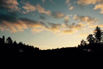 Obraz premium Sunset at the clearing