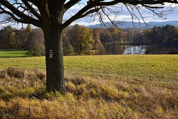 Autumn landscape
