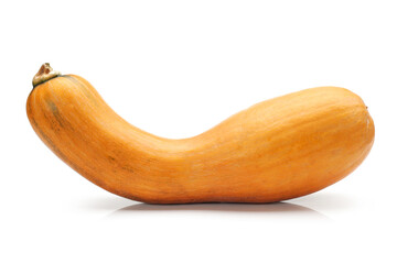 butternut squash isolated on white background. 