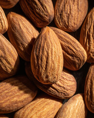 macro photo of apricot kernels