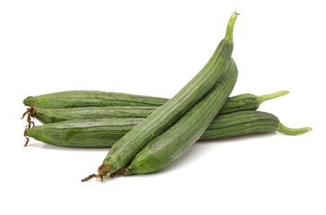 fresh loofah on the white background