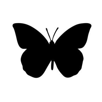 Beautiful butterfly in silhouette style on a white background for print and design. Vector illustration.