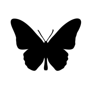 Butterfly in silhouette style on a white background for print and design. Vector illustration.