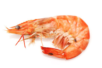 boiled shrimps on white background