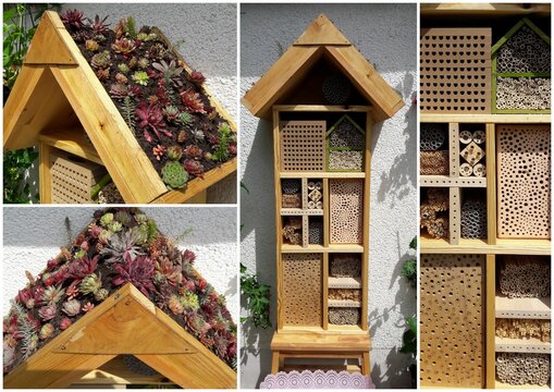 Collage von Ansichten eines selbst gebauten Bienenhotels, Insektenhotels, Brutst&auml;tten f&uuml;r Wildbienen mit verschiedenen Nistmaterialien die an einer Hauswand mit bewachsenem Wein stehen.	
