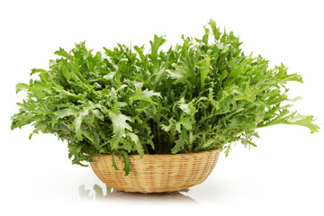 Naklejka premium Escarole Endive on a white background 