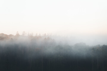 Obraz na płótnie Canvas Fog, Forest, Nature, Landscape, Environment
