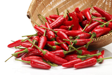 Red Hot Chili on white background