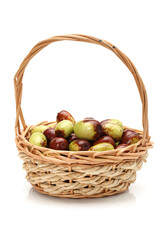 jujube or chinese date on white background