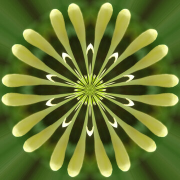 green flower background