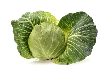 Green cabbage isolated on white background