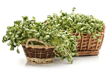 Naklejka premium Black bean sprouts on white background