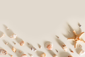Seashells and starfish with long shadows on beige background. Summer concept. Nautical pattern pastel colored. Aesthetic trend layout shells, sea stars, minimal style creative composition