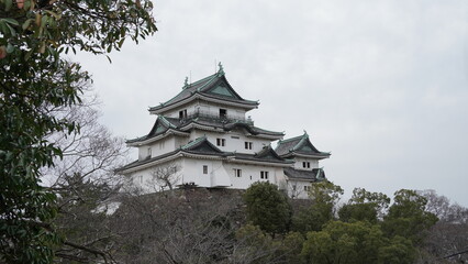 Fototapeta premium 和歌山城