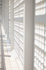 White wooden fence in bright sunlight