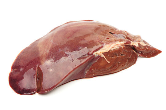 Raw liver on white background
