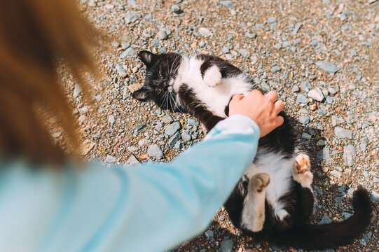 kleines M&auml;dchen streichelt Katze auf dem R&uuml;cken liegend in der Sonne