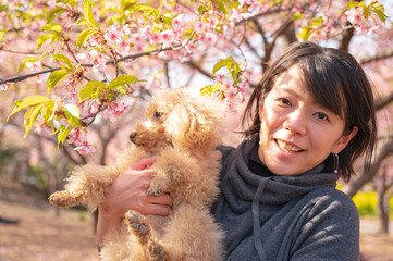 犬と桜と日本人女性