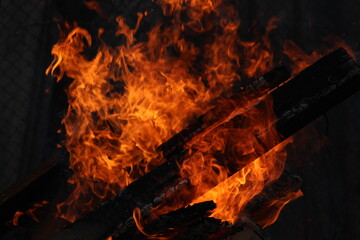 Fototapeta premium evening bonfire burning wood and flame