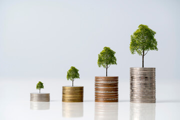 Money coin stack growing graph and a tree that grows on a pile of money, The idea of business...