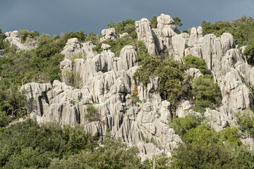 The geological sanctuary of karst, Bosc de Ses Monges, Lluc, Escorca, Mallorca, Balearic Islands, Spain