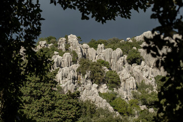 Fototapeta na wymiar The geological sanctuary of karst, Bosc de Ses Monges, Lluc, Escorca, Mallorca, Balearic Islands, Spain