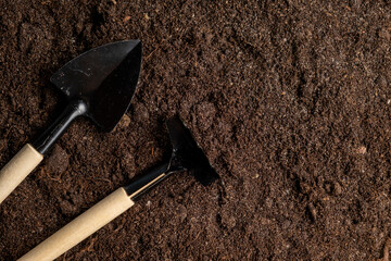 Gardening at home. Garden tools for seedlings on black ground background