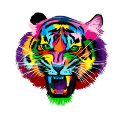 Abstract tiger head portrait, tiger grin, furious tiger from multicolored paints. Colored drawing. Vector illustration of paints
