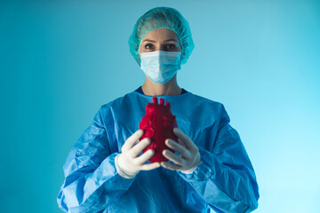 Caucasian woman doctor of cardiology showing red artificial heart, medium studio shot blue...
