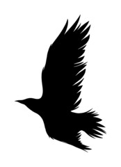 crow silhouette