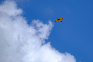 Bird gliding in the clouds in Bazaruto archipelago, Mozambique