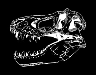 t-rex dinosaur skull