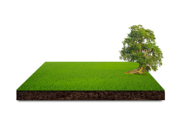Cubical cross section with underground earth soil and water and green grass on top, cutaway terrain...