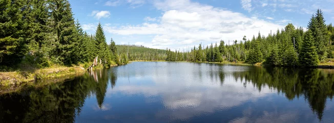 Foto op Canvas Small lake in the forest near the source of the Vltava River Bohemian Forest, Czech Republic © 2199_de