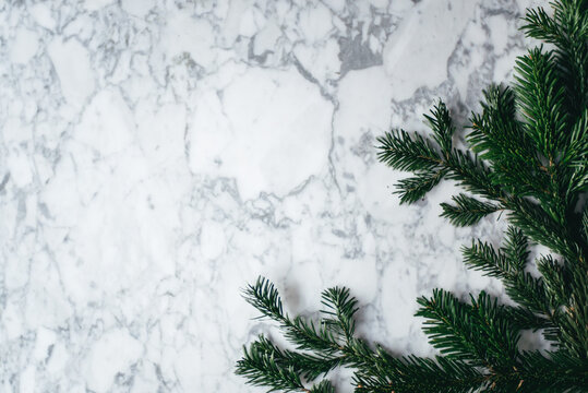 Christmas pine tree on marble simple background 