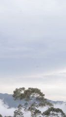 Obraz premium clouds over the sea