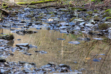 Stones next to a stream in the forest