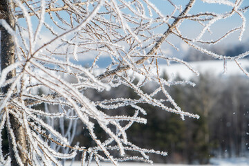 北海道美瑛の冬景色