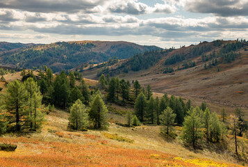autumn landscape in the mountains