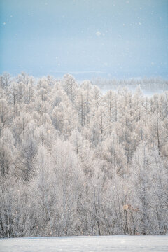 冬景色images Browse 43 217 Stock Photos Vectors And Video Adobe Stock