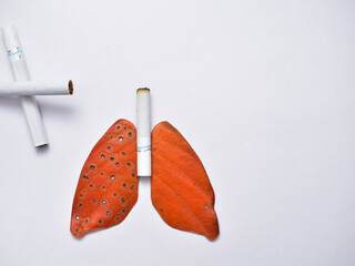 smoking kills concept, stop smoking. World no tobacco day concept. lungs of a healthy person and sick. flat lay, copy space for banner, advertisers and articles. Leaf craft. - obrazy, fototapety, plakaty