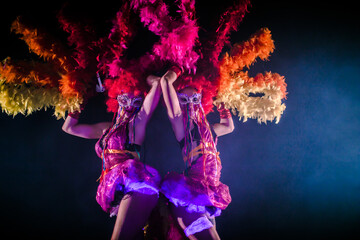 circus performers. clown girls, carnival. halloween