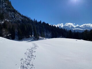 Fototapeta na wymiar Wonderful winter hiking trails and traces on the slopes of the Alpstein mountain range and in the fresh alpine snow cover of the Swiss Alps - Unterwasser, Switzerland (Schweiz)